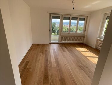 Wohnungssanierung Biel